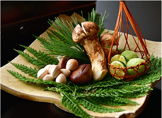 秋の料理 松茸