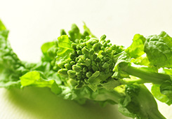 山菜3